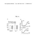 Modulation of Aquaporin in Modulation of Angiogenesis and Cell Migration diagram and image