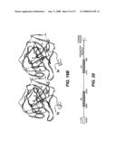 MN Gene and Protein diagram and image