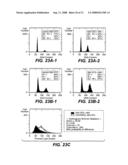 MN Gene and Protein diagram and image