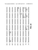 MN Gene and Protein diagram and image