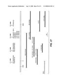 MN Gene and Protein diagram and image