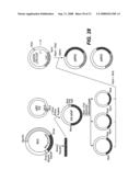 MN Gene and Protein diagram and image