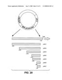 MN Gene and Protein diagram and image