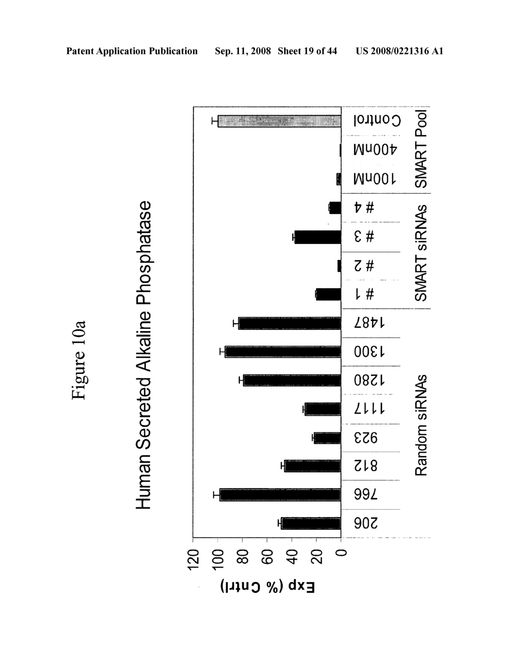 siRNA targeting ethanolamine Kinase I1 (EKI1) - diagram, schematic, and image 20