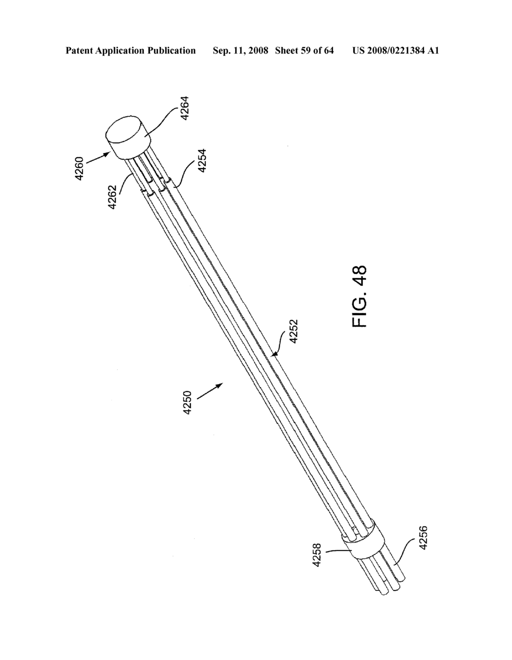 EXPANDABLE BRACHYTHERAPY APPARATUS AND METHODS FOR USING THEM - diagram, schematic, and image 60