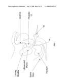 UNIVERSAL ULTRASOUND HOLDER AND ROTATION DEVICE diagram and image