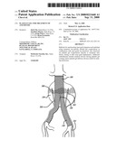 Platelet Gel for Treatment of Aneurysms diagram and image