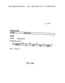 Programmable processor with group floating-point operations diagram and image