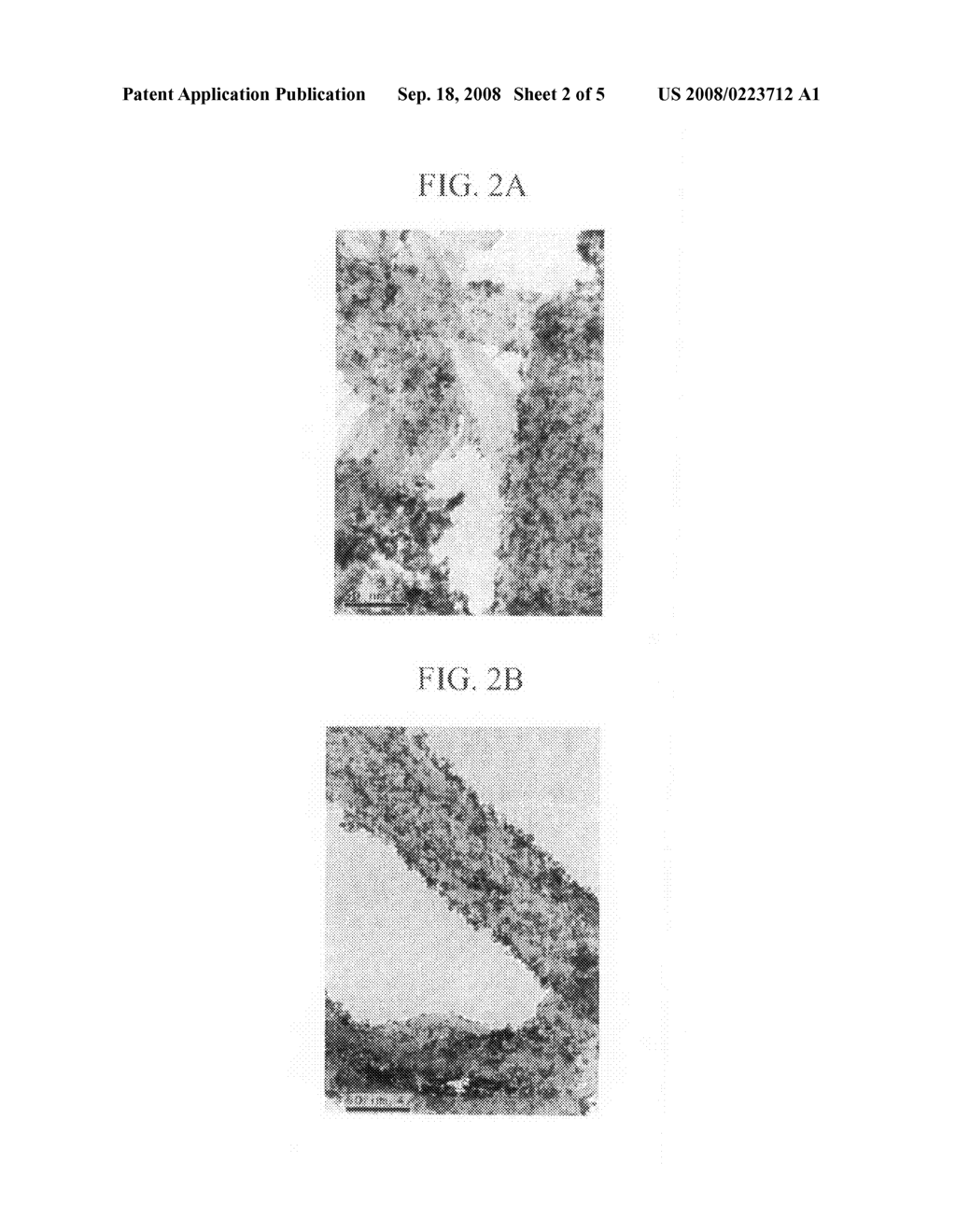 Method of preparing metal nanoparticles - diagram, schematic, and image 03