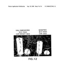 Biological Sample Disruption Techniques diagram and image