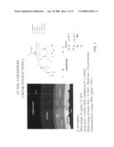 Threshold Cerenkov detector with radial segmentation diagram and image