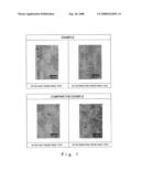 BIREFRINGENT FILM, POLYCYCLIC COMPOUND, COATING LIQUID, AND IMAGE DISPLAY DEVICE diagram and image