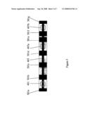 Use of Electrodes and Multi-Frequency Focusing to Correct Eccentricity and Misalignment Effects on Transversal Induction Measurements diagram and image