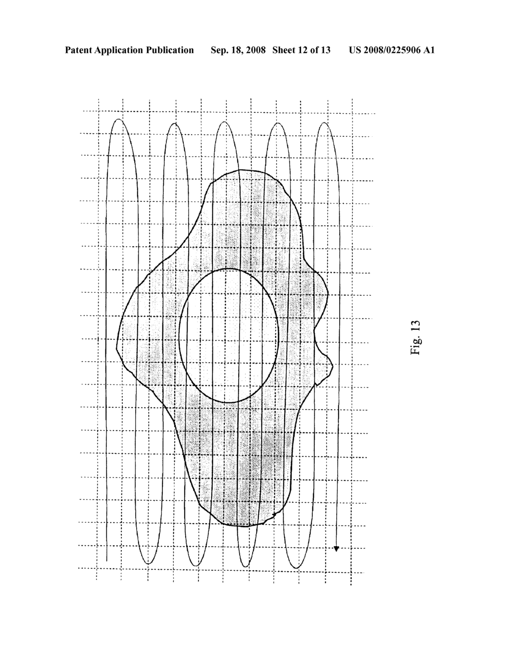 LASER SCANNING MICROSCOPE AND METHOD OF USE - diagram, schematic, and image 13