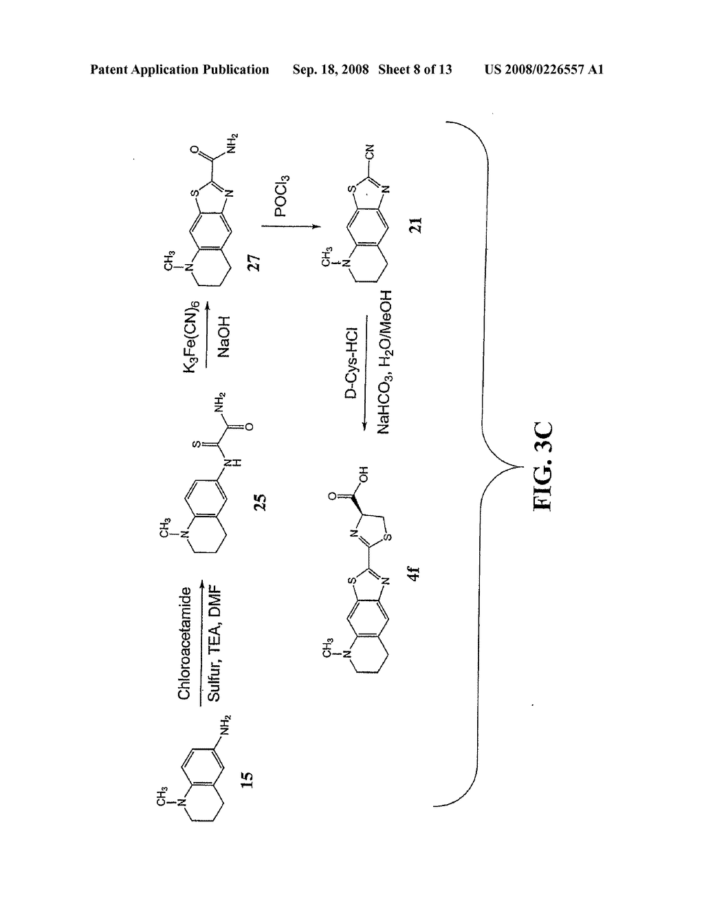 Luciferins - diagram, schematic, and image 09