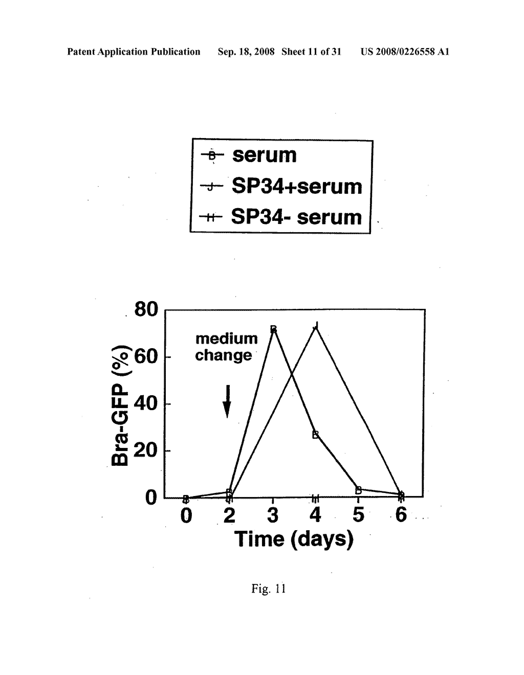 Mesoderm and definitive endoderm cell populations - diagram, schematic, and image 12