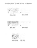 Vectors having both isoforms of beta-hexosaminidase and uses of the same diagram and image