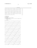 Vectors having both isoforms of beta-hexosaminidase and uses of the same diagram and image