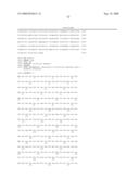 Vectors having both isoforms of beta-hexosaminidase and uses of the same diagram and image