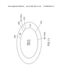 Vectors having both isoforms of beta-hexosaminidase and uses of the same diagram and image