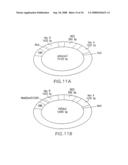 Vectors having both isoforms of beta-hexosaminidase and uses of the same diagram and image