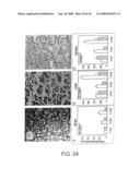 Vectors having both isoforms of beta-hexosaminidase and uses of the same diagram and image