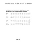 AMPHIREGULIN ANTIBODIES AND THEIR USE TO TREAT CANCER AND PSORIASIS diagram and image