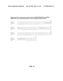 AMPHIREGULIN ANTIBODIES AND THEIR USE TO TREAT CANCER AND PSORIASIS diagram and image