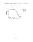 AMPHIREGULIN ANTIBODIES AND THEIR USE TO TREAT CANCER AND PSORIASIS diagram and image