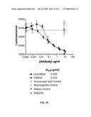 AMPHIREGULIN ANTIBODIES AND THEIR USE TO TREAT CANCER AND PSORIASIS diagram and image