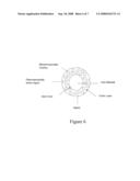 SPATIAL ARRANGEMENT OF PARTICLES IN A DRINKING DEVICE FOR ORAL DELIVERY OF PHARMACEUTICALS diagram and image