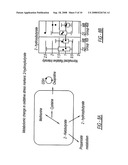 DIETARY SUPPLEMENT AND RELATED METHOD diagram and image