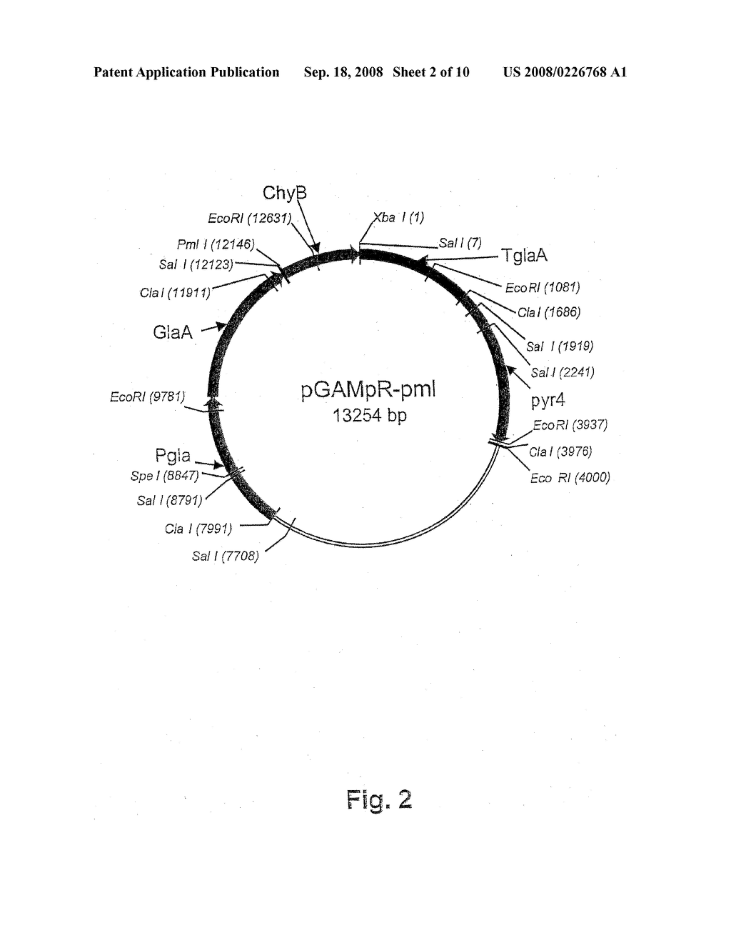 Method of producing non-bovine chymosin and use hereof - diagram, schematic, and image 03