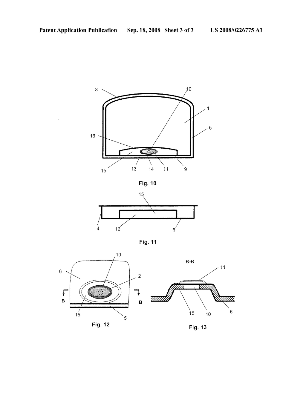 Controlled Atmosphere Package for Bananas - diagram, schematic, and image 04