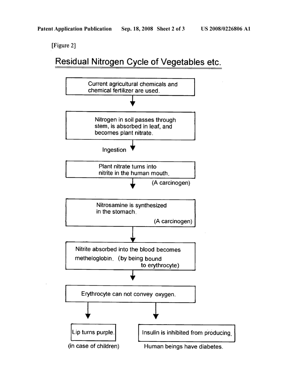 Health Food - diagram, schematic, and image 03