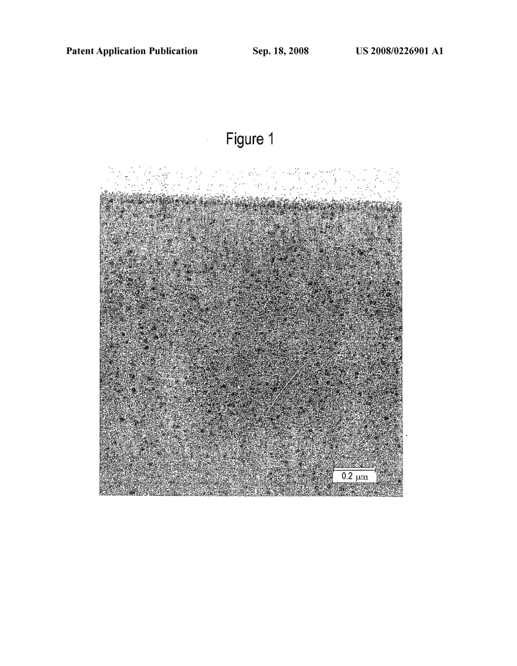 Paints Containing Particles - diagram, schematic, and image 02