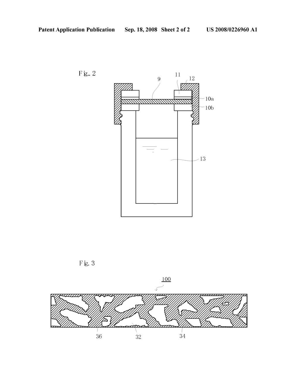 Separation Membrane for Fuel Battery and Process for Producing the Same - diagram, schematic, and image 03