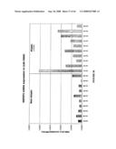 Method of Diagnosing and/or Predicting the Development of an Allergic Disorder diagram and image