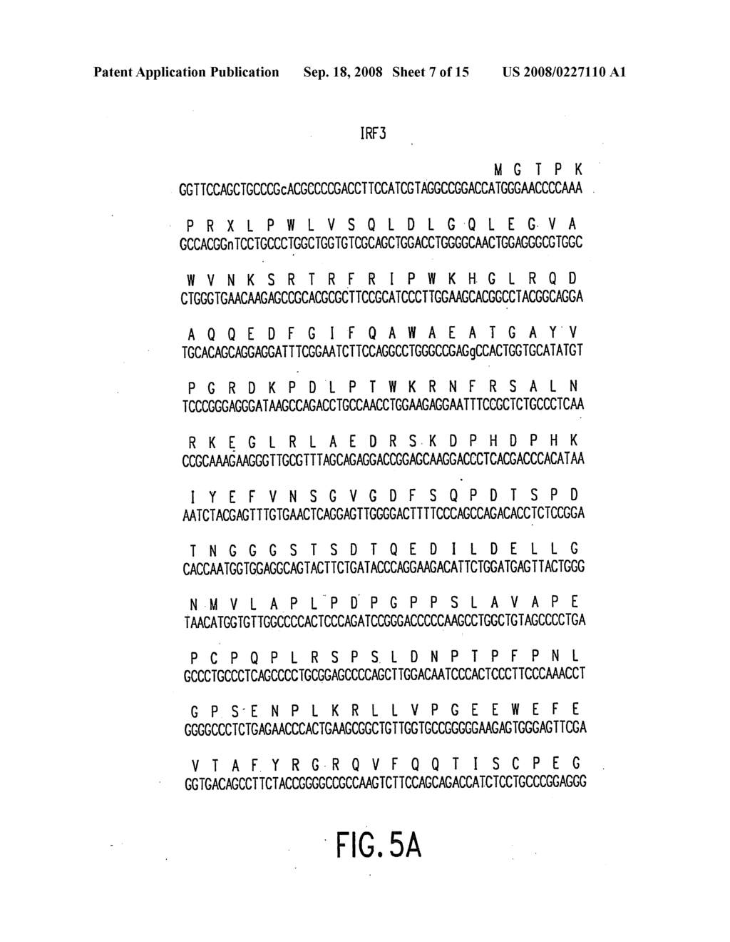 Human Genes, Sequences and Expression Products - diagram, schematic, and image 08