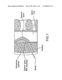 Methods, Antibodies and Kits for Detecting Cerebrospinal Fluid in a Sample diagram and image