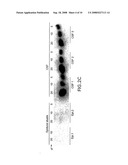 Methods, Antibodies and Kits for Detecting Cerebrospinal Fluid in a Sample diagram and image