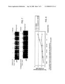 COMPOSITIONS AND METHODS FOR MODULATING C-REL-DEPENDENT CYTOKINE PRODUCTION diagram and image