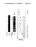 COMPOSITIONS AND METHODS FOR MODULATING C-REL-DEPENDENT CYTOKINE PRODUCTION diagram and image