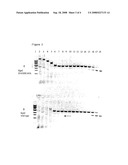 KpnI Restriction Endonucleases with Reduced Star Activity diagram and image