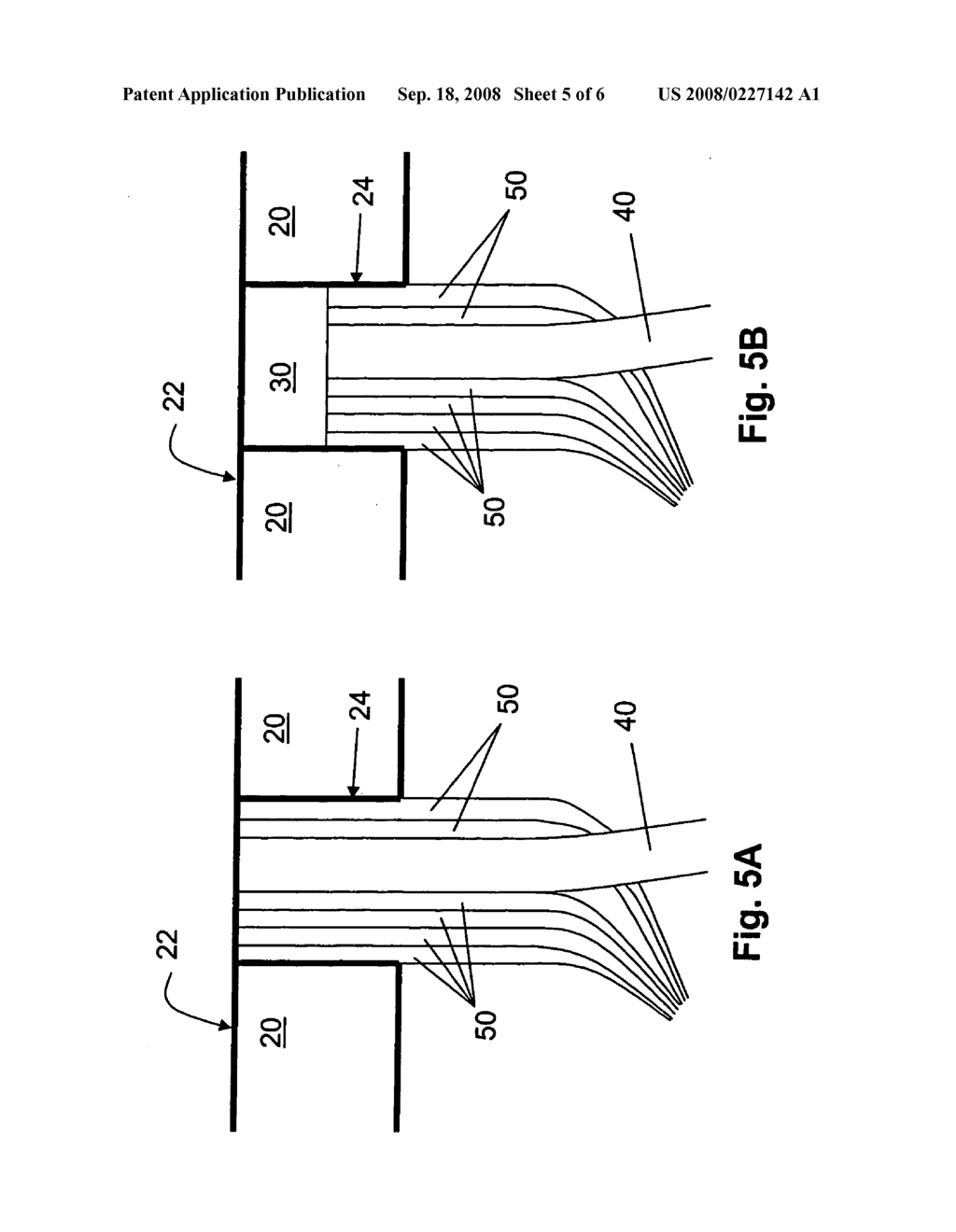 Invasive chemometry - diagram, schematic, and image 06