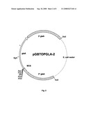 Aspergillus Promotors for Expressing a Gene in a Fungal Cell diagram and image