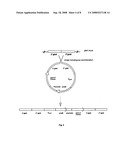 Aspergillus Promotors for Expressing a Gene in a Fungal Cell diagram and image