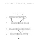 Aspergillus Promotors for Expressing a Gene in a Fungal Cell diagram and image