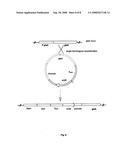 Aspergillus Promotors for Expressing a Gene in a Fungal Cell diagram and image