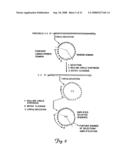 Circular DNA vectors for synthesis of RNA and DNA diagram and image